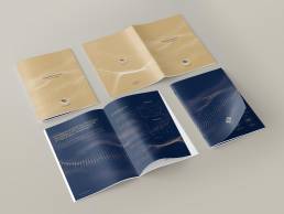 Fugen-SIM-brochures-01-covers